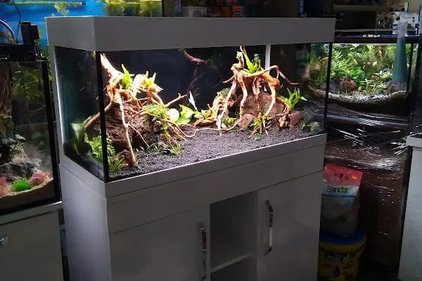 Bursa Aqua Farm - Resim 15