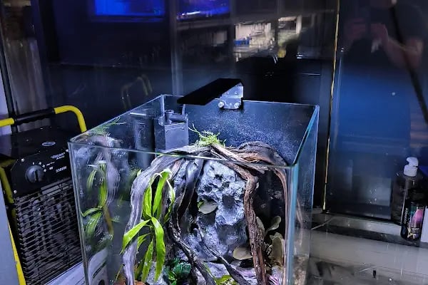 Bursa Aqua Farm - Resim 5