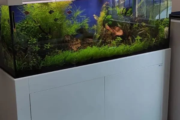 Bursa Aqua Farm - Resim 19