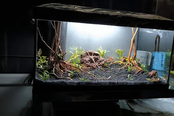 Bursa Aqua Farm - Resim 17