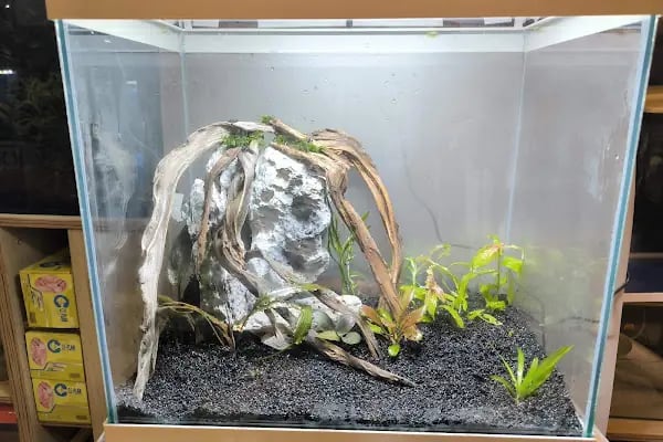 Bursa Aqua Farm - Resim 11
