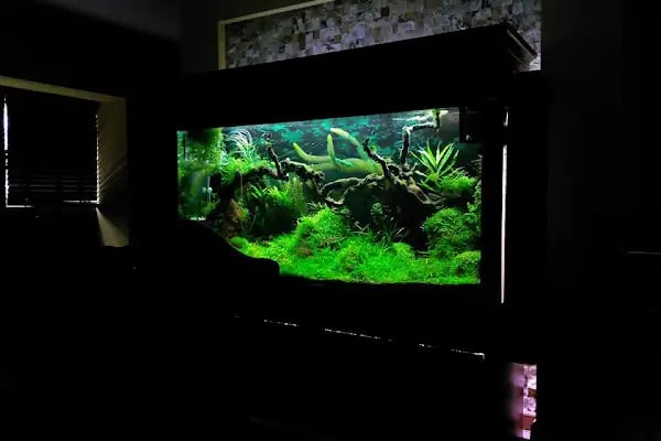 Bursa Aqua Farm - Resim 3