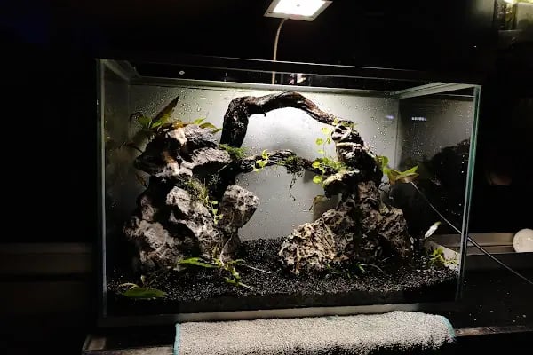 Bursa Aqua Farm - Resim 20