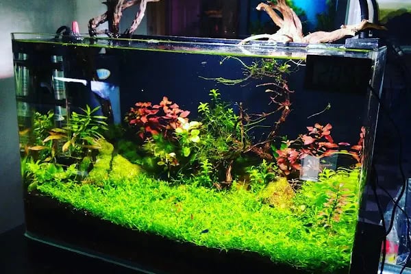 Bursa Aqua Farm - Resim 9