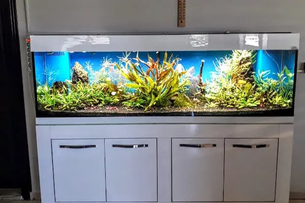 Bursa Aqua Farm - Resim 10