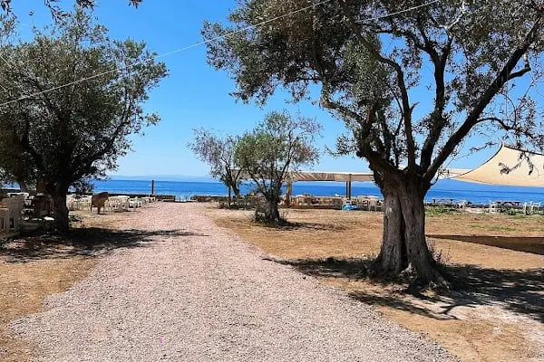 Hayal Kamp Assos - Resim 10