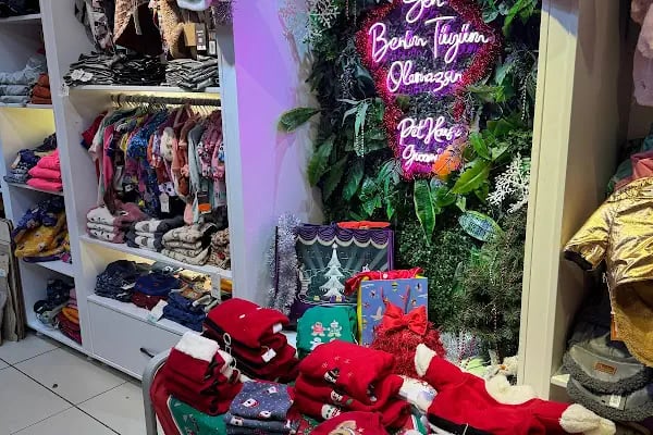 Gaziantep Pethouse Petshop - Resim 7