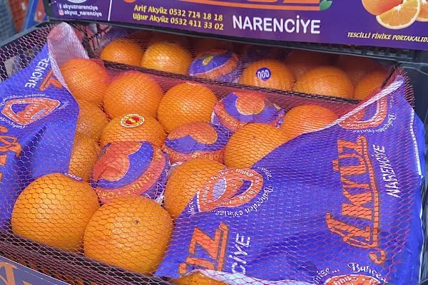 Akyüz Narenciye - Resim 5