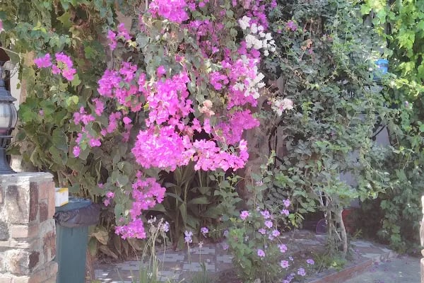 Bodrum Infinity Villas - Holiday Homes &amp; Art - Resim 19