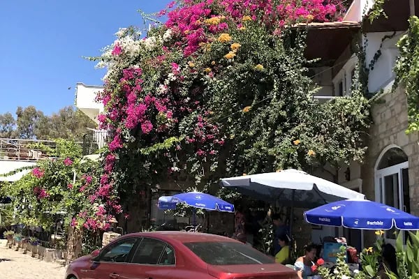 Bodrum Infinity Villas - Holiday Homes &amp; Art - Resim 2