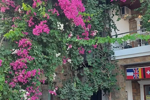 Bodrum Infinity Villas - Holiday Homes &amp; Art - Resim 3
