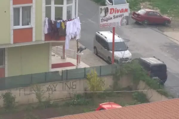 Divan Düğün Salonu - Resim 9