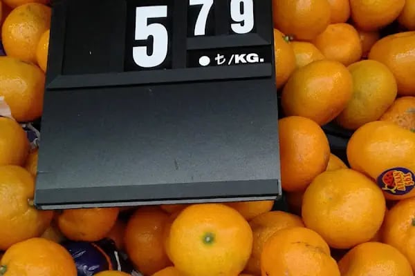 Özkuruşlar Türkiş Blokları - Resim 11