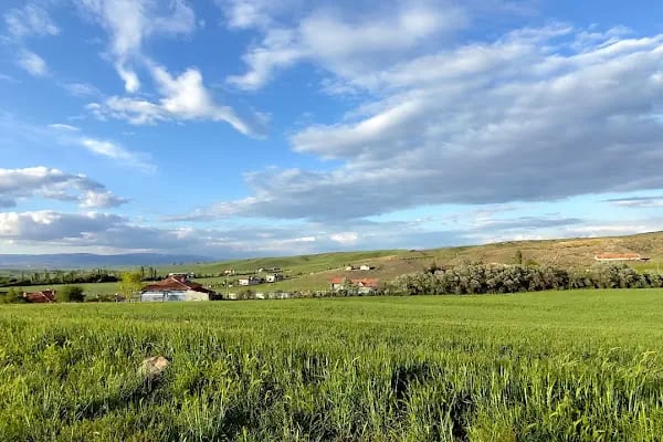 Bala Ankara - Resim 3