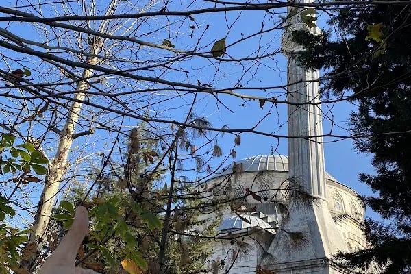 Çınar Camii - Resim 10