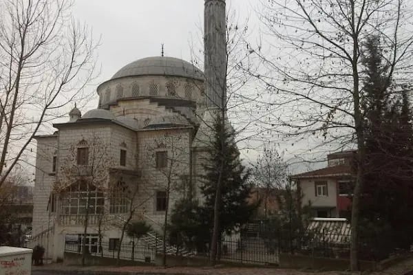 Çınar Camii - Resim 20