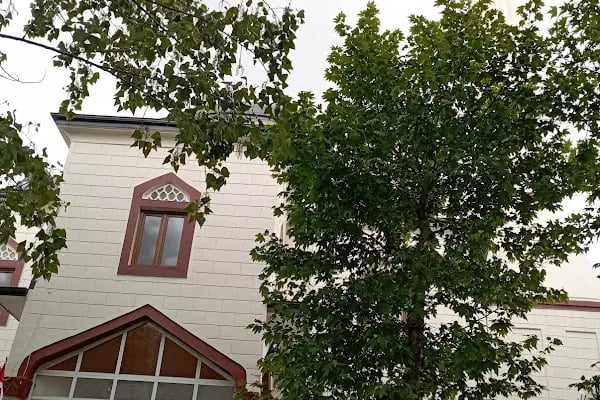 Çınar Camii - Resim 5