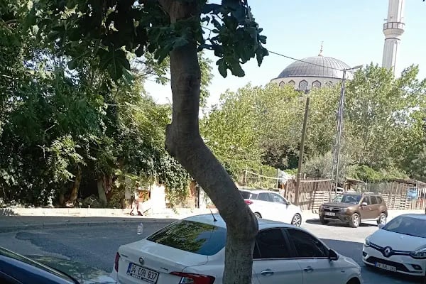 Çınar Camii - Resim 8