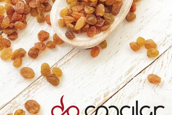 ÇANCILAR ÜZÜM İŞLETMESİ (Cancilar Food) - Resim 2