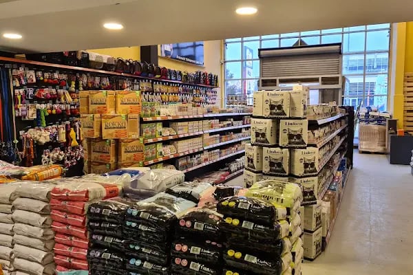 Pati Çarşı Petshop Gimat - Resim 2
