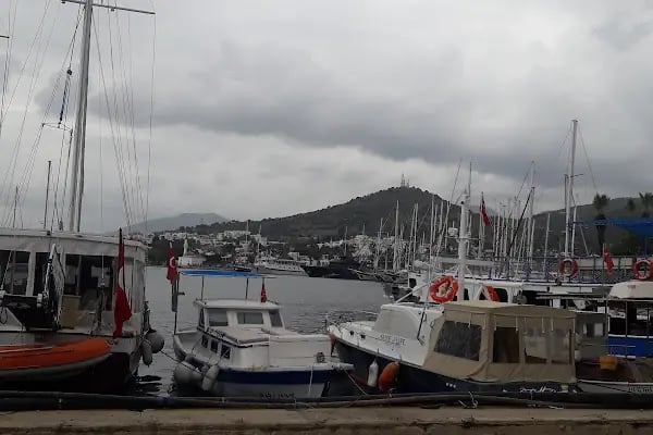 Bodrum Belediyesi Kültür Ve Sosyal İşler Müdürlüğü - Resim 8