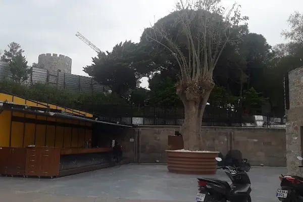 Bodrum Belediyesi Kültür Ve Sosyal İşler Müdürlüğü - Resim 20