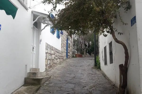 Bodrum Belediyesi Kültür Ve Sosyal İşler Müdürlüğü - Resim 10