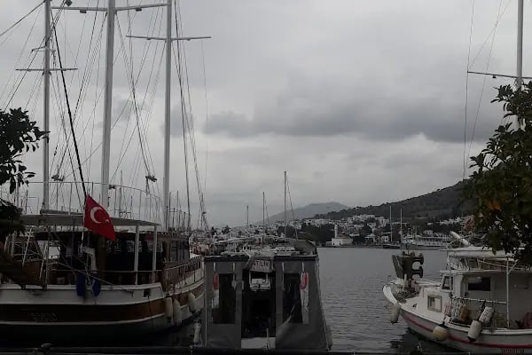 Bodrum Belediyesi Kültür Ve Sosyal İşler Müdürlüğü - Resim 3