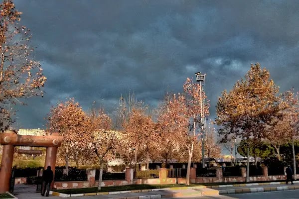 Bağcılar Belediyesi Nilüfer Kadayıfçıoğlu Parkı - Resim 1