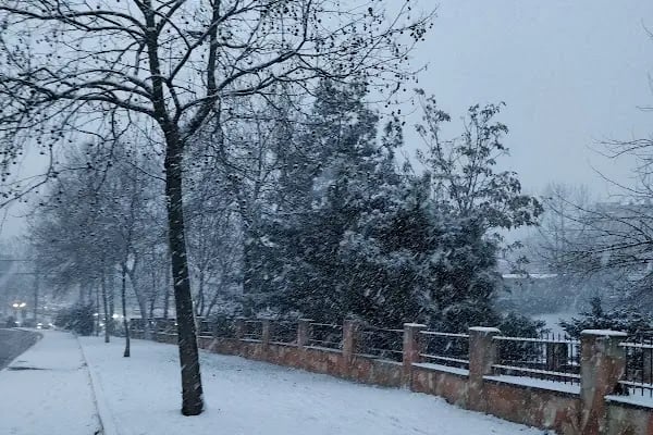 Bağcılar Belediyesi Nilüfer Kadayıfçıoğlu Parkı - Resim 4