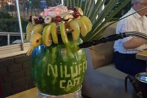 Bağcılar Belediyesi Nilüfer Kadayıfçıoğlu Parkı - Resim 20