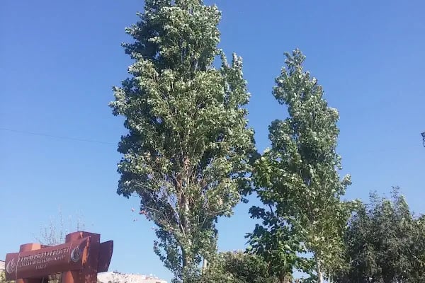 Bağcılar Belediyesi Nilüfer Kadayıfçıoğlu Parkı - Resim 11