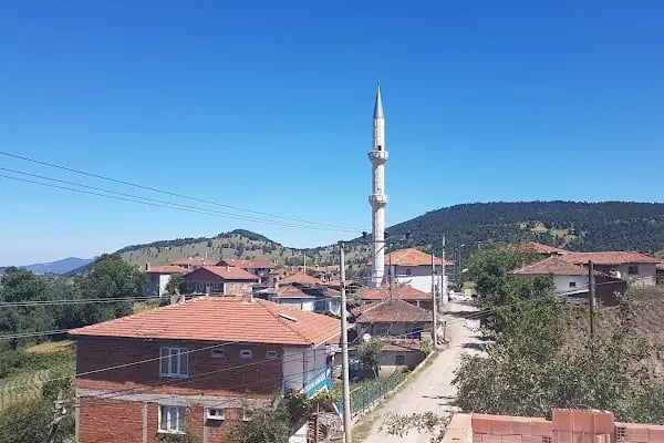 Zaferiye Köyü Mahallesi Camii - Resim 3