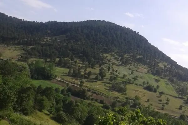 Zaferiye Köyü Mahallesi Camii - Resim 4