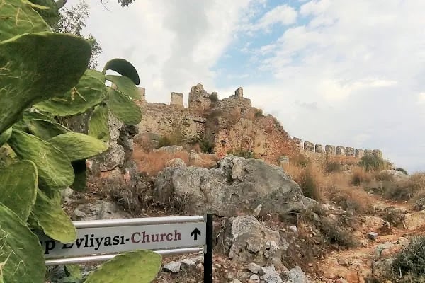 Arap Evliyası - Resim 11