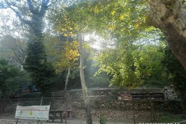 Dağılcak - Resim 10