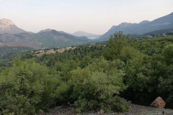Dağılcak - Resim 15