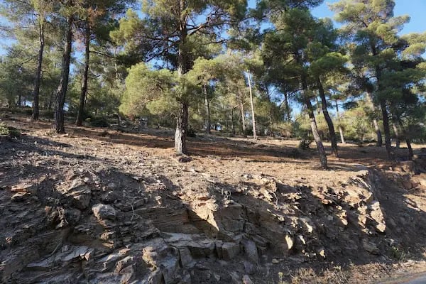 Başalan - Resim 6
