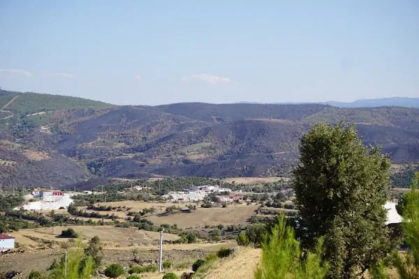Başalan - Resim 3