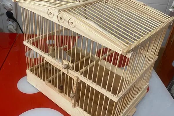 Ömer pet shop - Resim 9