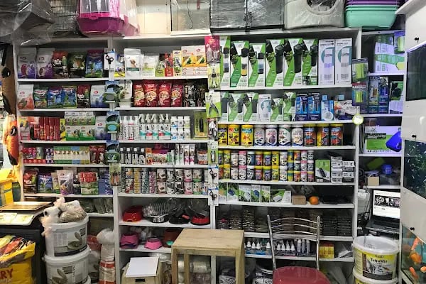 Ömer pet shop - Resim 19