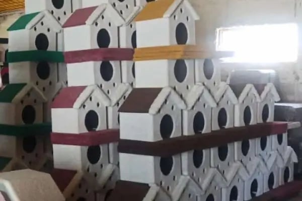 Ömer pet shop - Resim 13