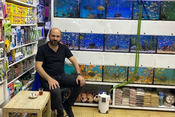 Ömer pet shop - Resim 14