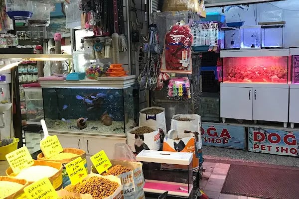 Ömer pet shop - Resim 7
