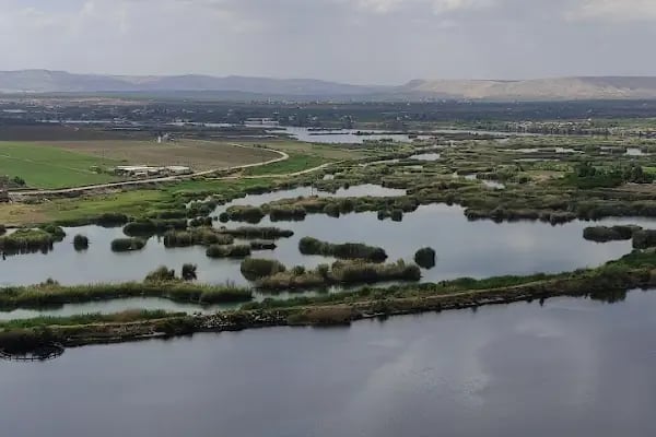 KÖŞK CAFE&amp;LOKANTA - Resim 10