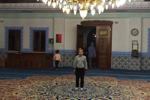 Aydıncık Merkez Cami - Resim 8