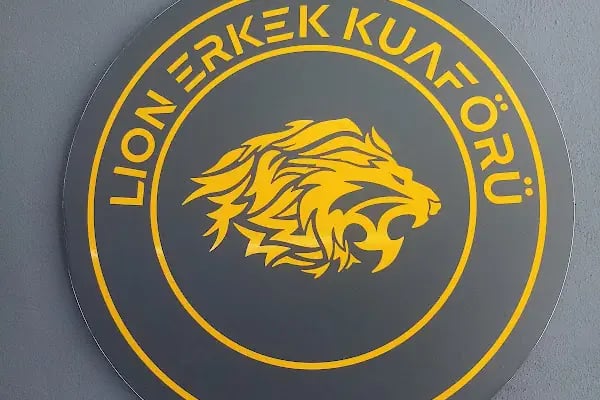 Lion erkek kuaförü - Resim 14