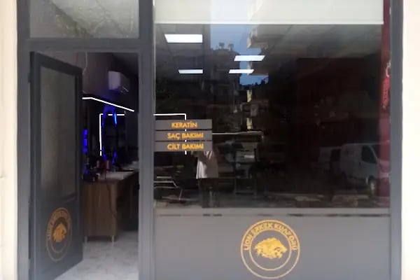 Lion erkek kuaförü - Resim 7