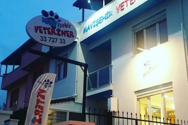 Mavişehir Veteriner - Resim 4