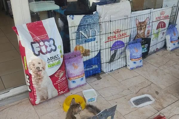 Arı Petshop - Resim 5